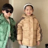 Cross-border group purchase and wholesale of Korean autumn and winter new children's cotton-padded clothes, baby children's clothing, cotton-padded jackets for boys and girls, and winter coats details Picture